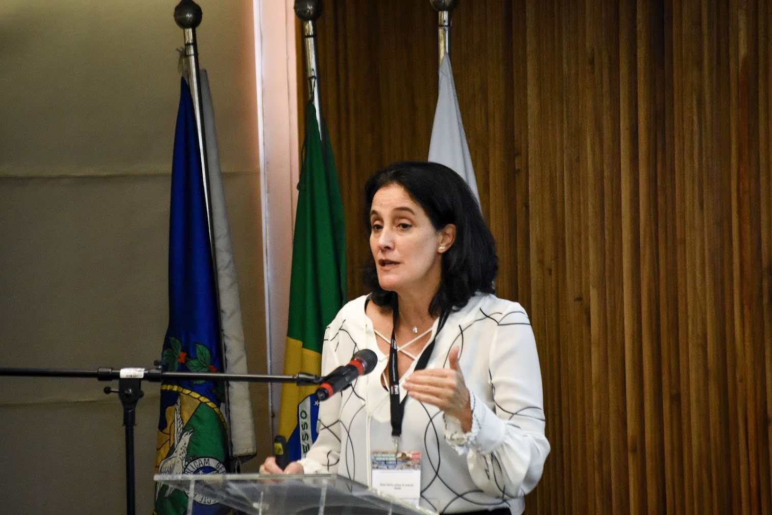 PFI Port Privatization Forum 2019 Rio